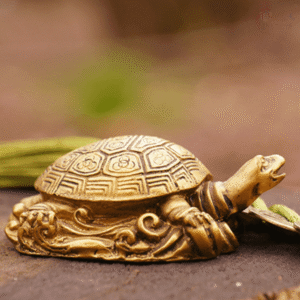Feng Shui Tortoise